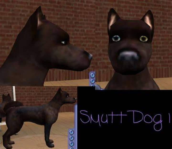 Mod The Sims The Mutt Pack 10 *NEW* Breeds