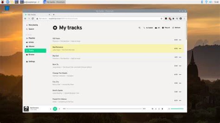 Mopidy playing a track
