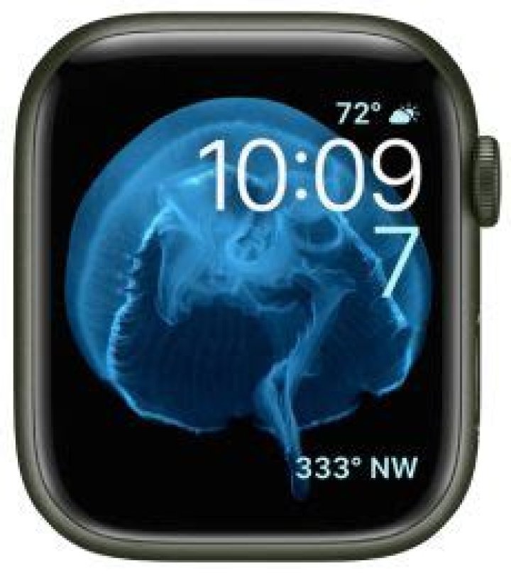 Motion Apple Watch Face