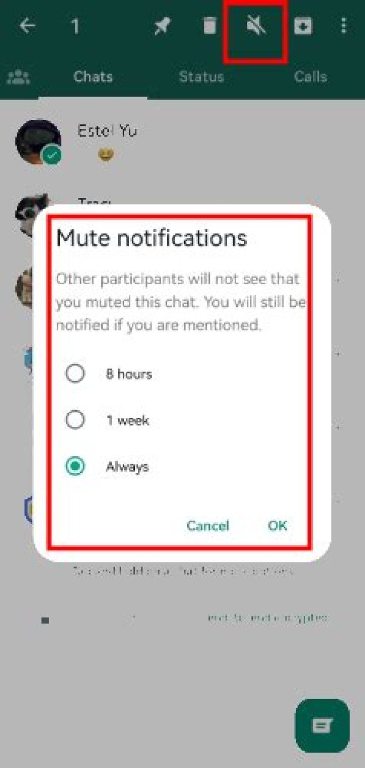 mute whatsapp chat