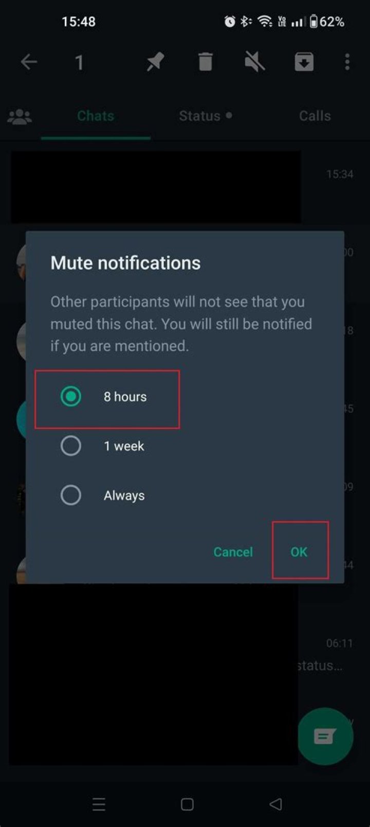 mute whatsapp options