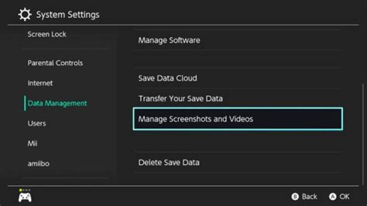 Nintendo Switch manage screenshots