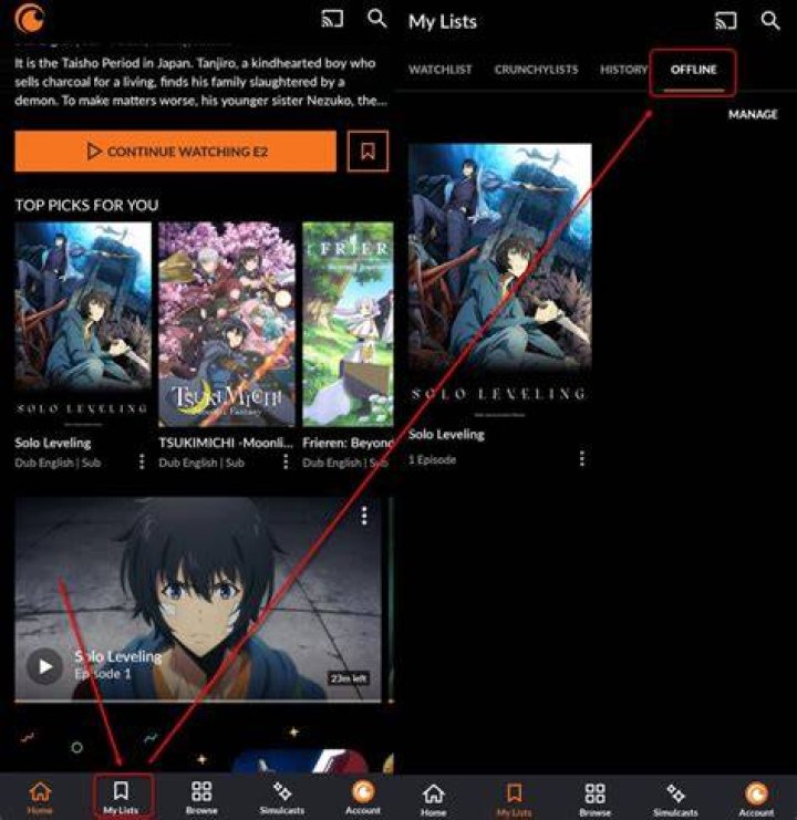 Offline viewing tab on Crunchyroll app