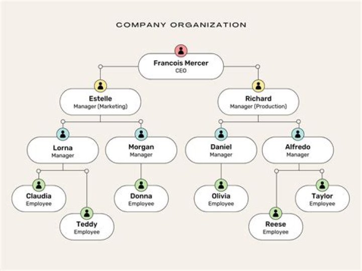 organization