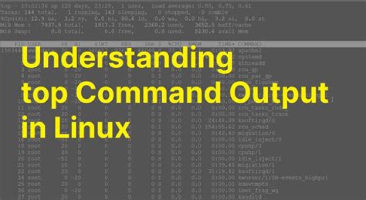 output of Linux top command