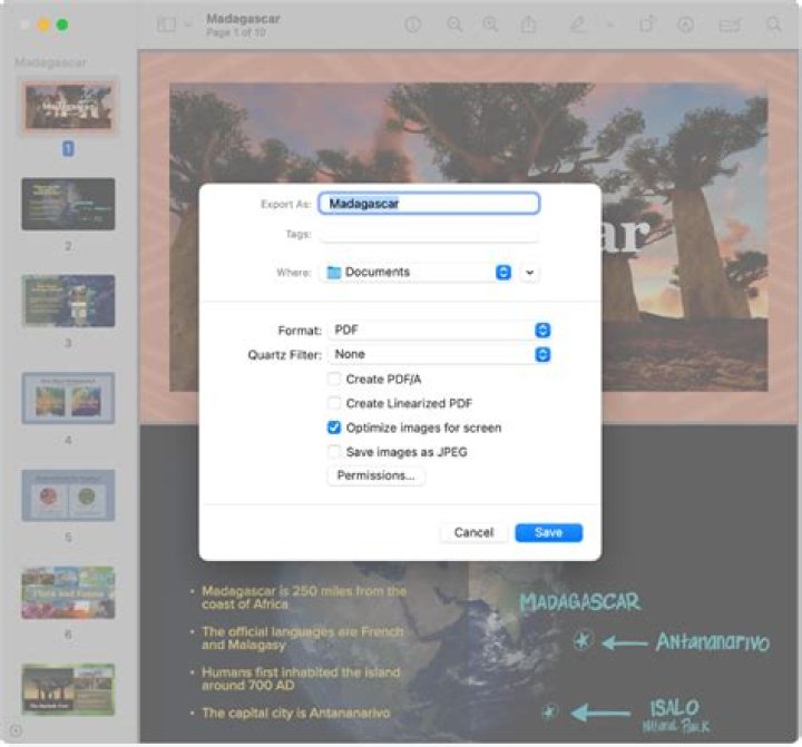 preview mac guide 13