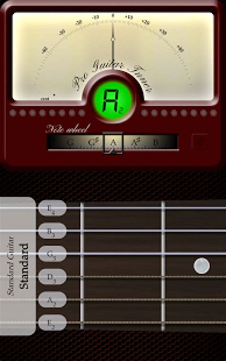 Pro Tuner guitar