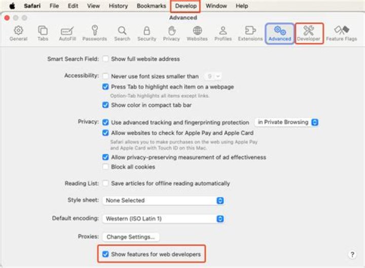 Safari Enable Developer Options