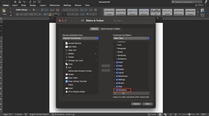 Select the Developer check box on the Customize the Ribbon screen on the Word Options dialog box