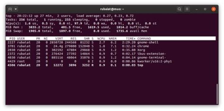 show idle processes using Linux top command