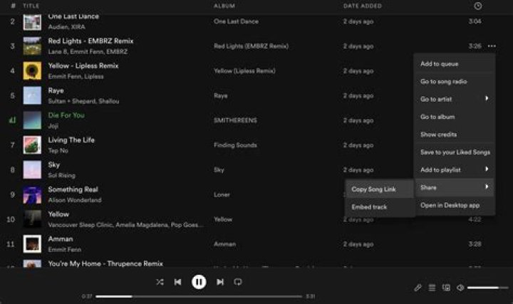 Spotify web player settings