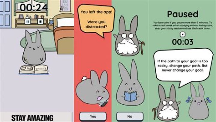 Study Bunny Study Records