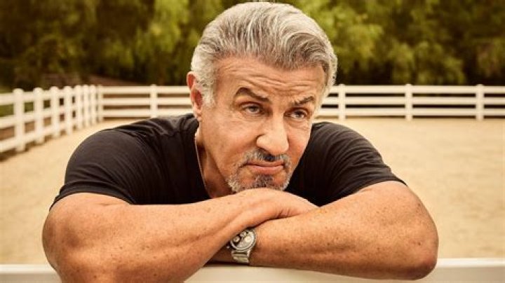 Sylvester Stallone's Plastic Surgery Is Weighed in on by Experts