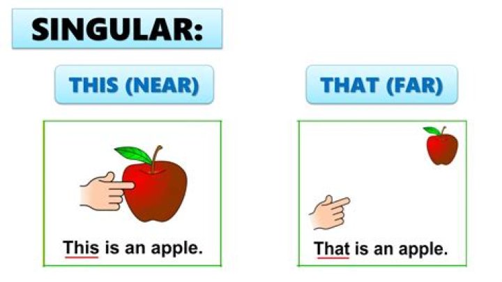 that's the finger