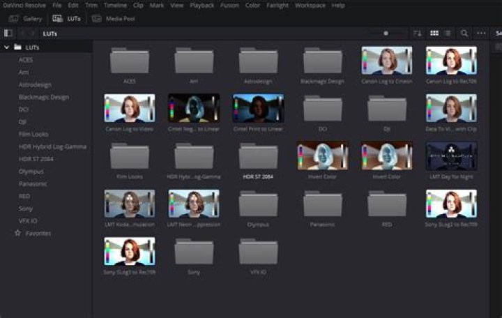 The LUTs panel in Resolve.