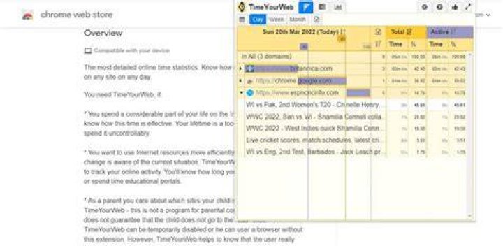 timeyourweb time tracker screenshot