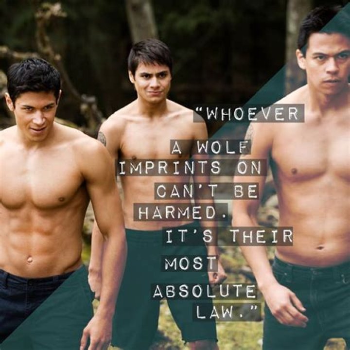 Twilight Wolf Pack Quotes. QuotesGram