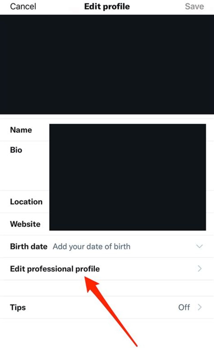 Twitter for Professionals button on Web