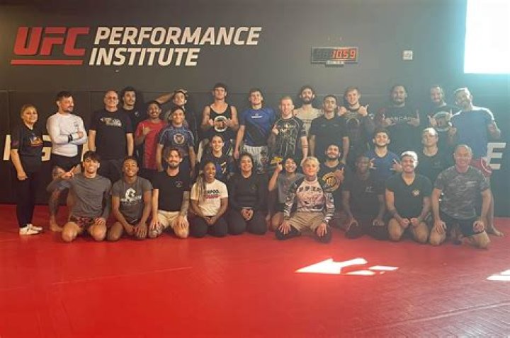 Ultimate Team in UFC