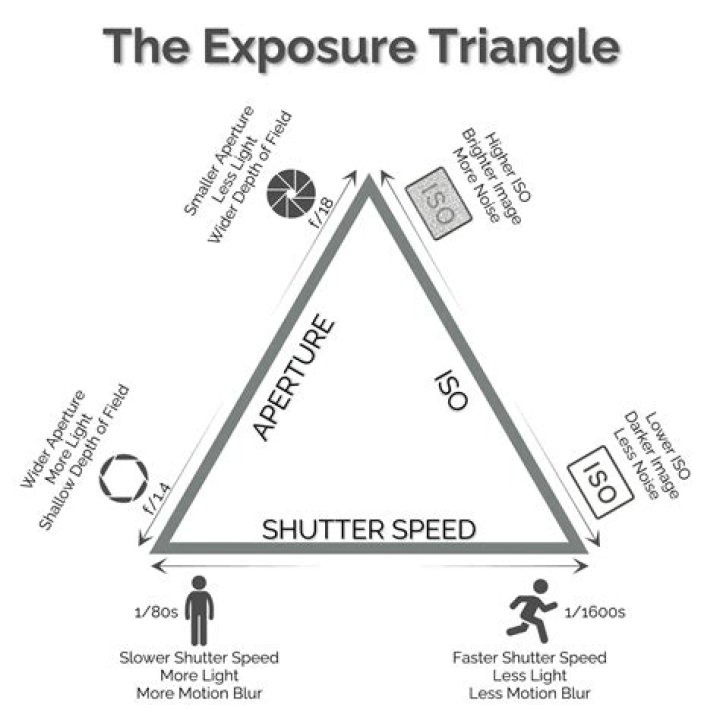 Understanding Faggot Exposure: A Comprehensive Guide