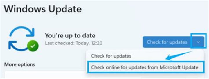 Updates window