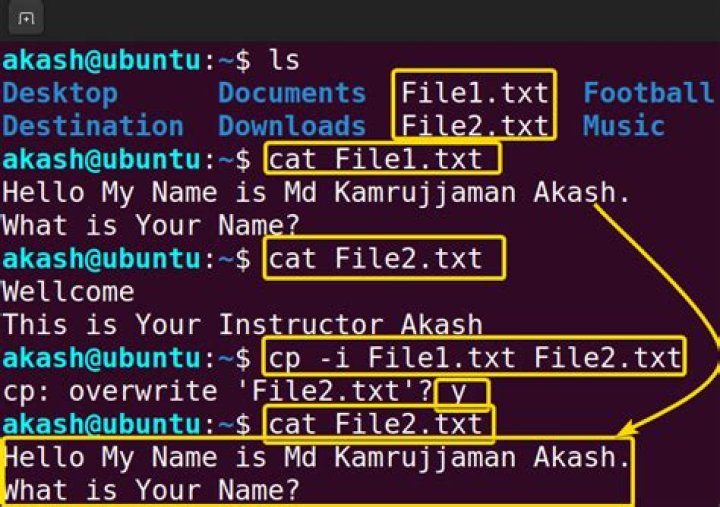 Using Cp Command in Interactive Mode