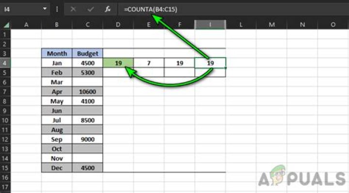 Using the COUNTA Formula to Count Not Blank Cells