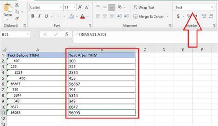 using the trim formula excel