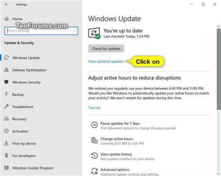 View optional updates