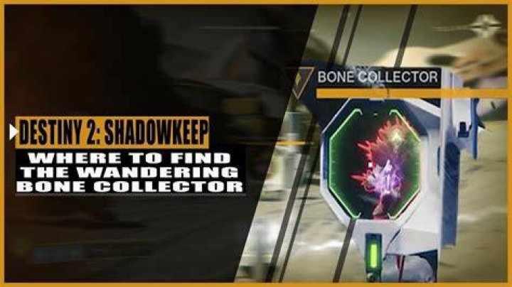 Wandering Bone Collector location (Image via Destiny 2)