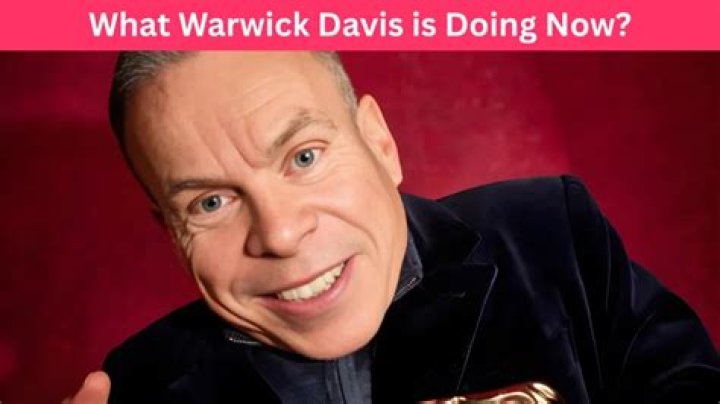 Warwick Davis Net Worth 2024