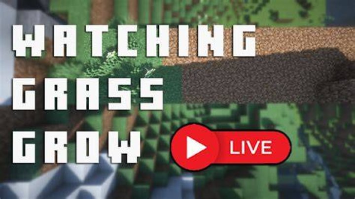 watching grass grow