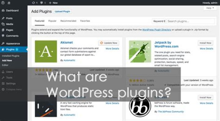 What Are WordPress Plugins?