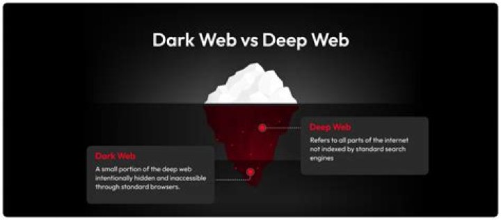 What Does the Dark Web Look Like?