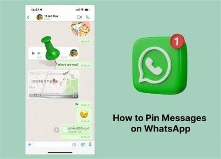 whatsapp pin message