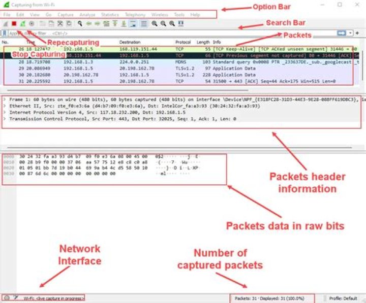Wireshark interface