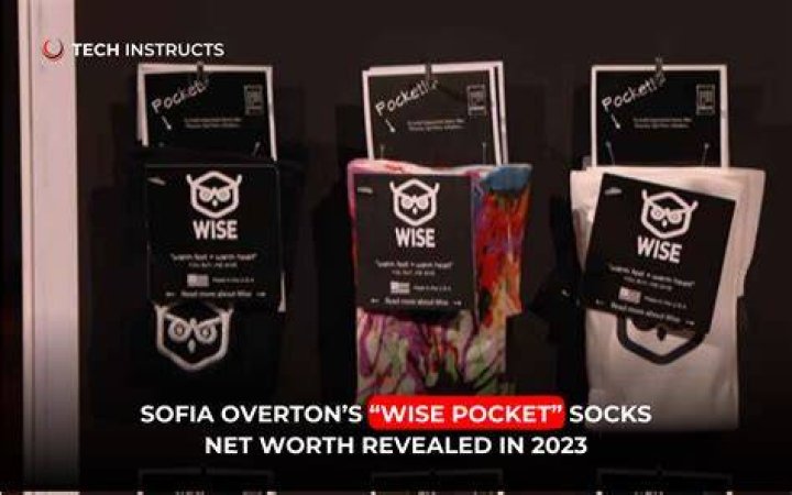 Wise Pocket Net Worth 2024